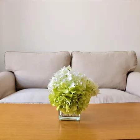 Готель Boutique Palacio Corredera Херес-де-ла-Фронтера